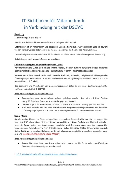 Datei:IT-Richtlinien-Mitarbeiter 2022-03-30.pdf